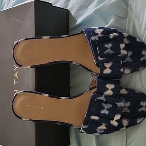 Ann Taylor Slides